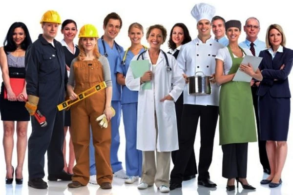 Servicios profesionales