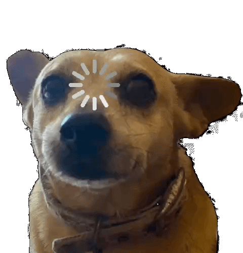 Cargador