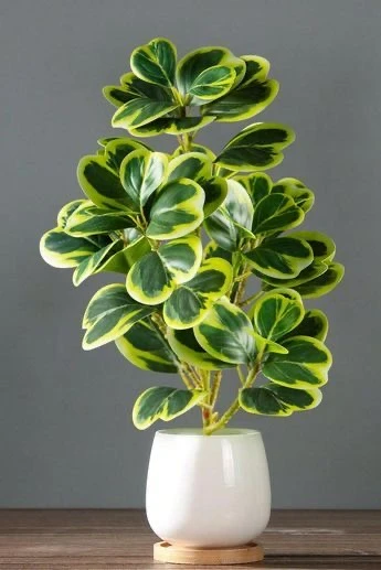 PLANT ARTIFICIAL DE PLASTICO COLOR VERDE